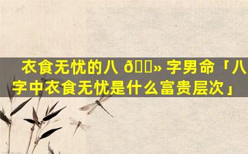 衣食无忧的八 🌻 字男命「八字中衣食无忧是什么富贵层次」